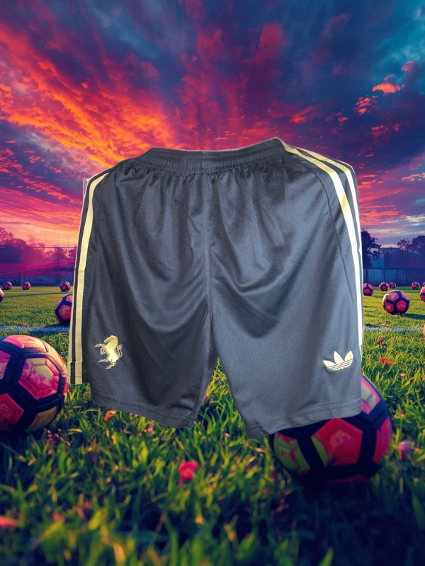 UNIFORME BLACK LION JUVENTUS- ESTETICA ITALIANA