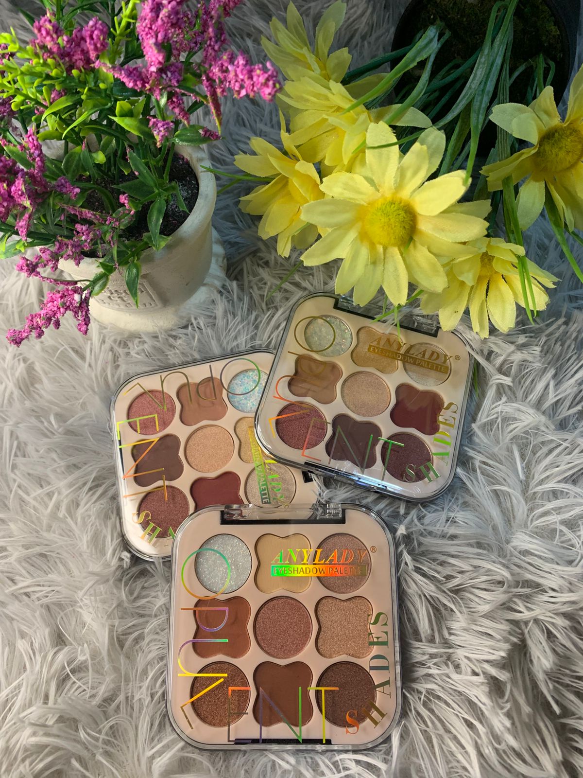 PALETA DE SOMBRAS ANYLADY – COLORES TIERRA